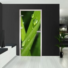 Ganzglastüren - Grashalm