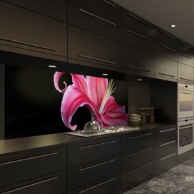 Glasbild Sterngucker2