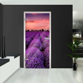 Ganzglastüren - Lavendel
