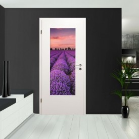 Lichtausschnitt - Lavendel