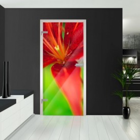 Ganzglastüren - Waldlilie