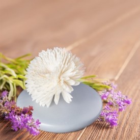 Reed Diffuser Flakon "Gerbera"