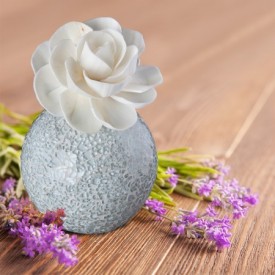 Reed Diffuser "Aliva"